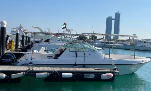 34 FT Gulf Craft (4)