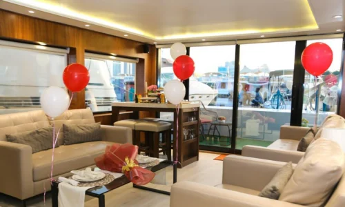 60 FT House Boat (7)